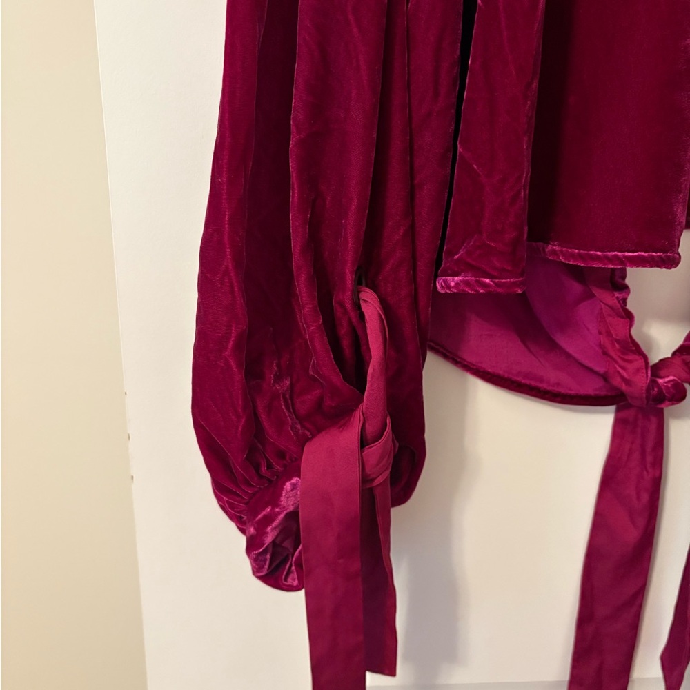 Free People Velvet Balloon-Sleeve Top in Magenta - Picture 6 of 8